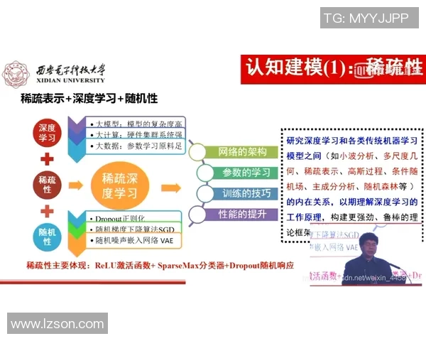 南京滑板队运营分析：成功经验与挑战反思的深度探讨