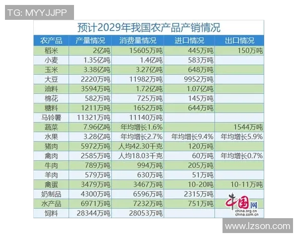 南京排球队的节奏解析与未来发展展望