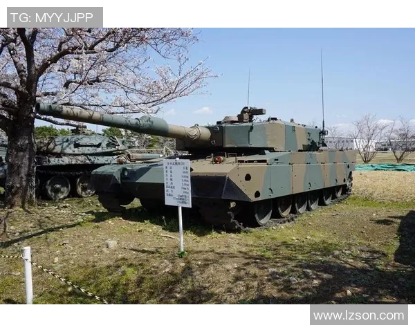 南京飞盘队阵地战打法深度解析与战术应用探讨